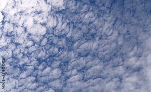 Altocumulus, compact globular flakes.