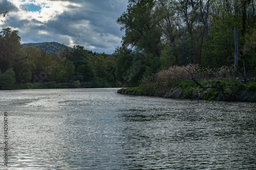 River in riparian woodland with dry grass at riverside.