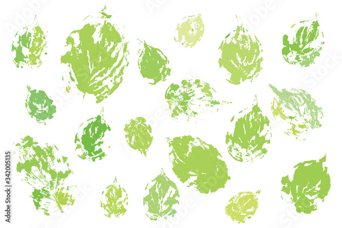 Plantain leaves life prints in fresh green colors. Basis graphics