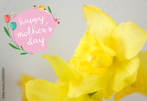 Mother s Day. Flowers for Mom. Postcard for Mother s Day. Tulips for Mom