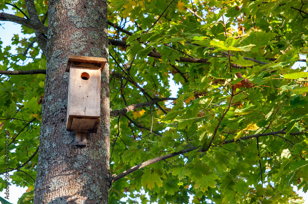 Wooden birdhouse mounted high on the tree