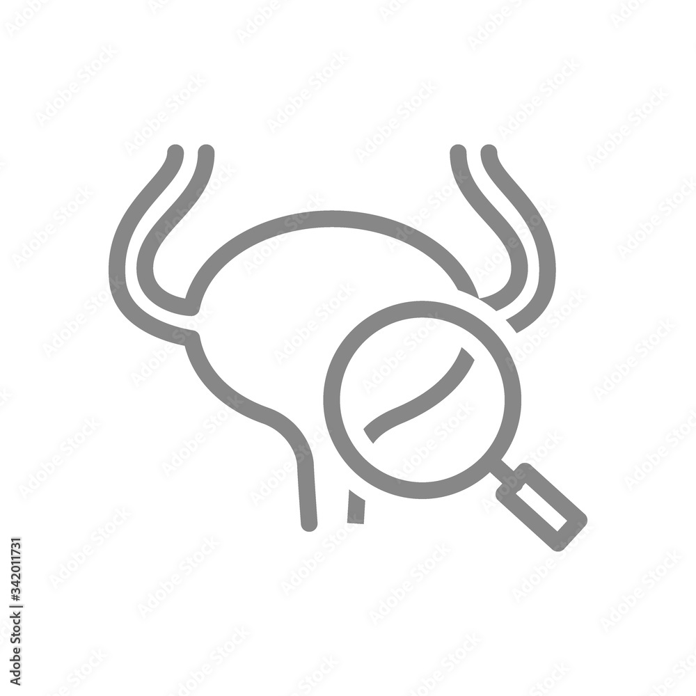 Urinary bladder with magnifying glass line icon. Human organ research, disease prevention symbol Urinary bladder with magnifying glass line icon. Human organ research, disease prevention symbol