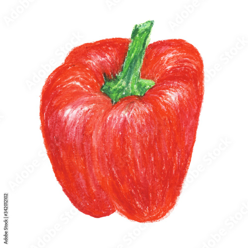 Hand drawn red bell pepper isolated on white (ID: 342012102)