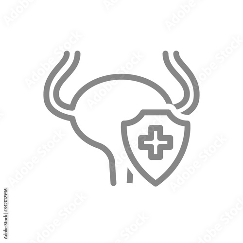 Protected urinary bladder line icon. First aid for human organ, system diseases symbol photo