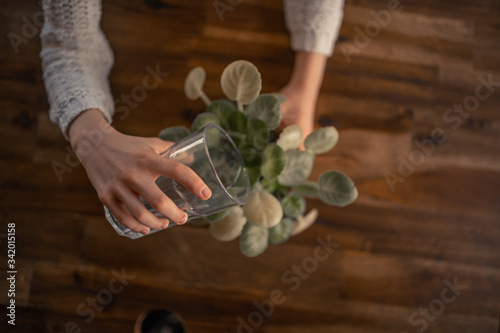 Beautiful 9 year old brunette girl watering plant showing love of nature