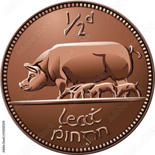 Irish money cooper coin half penny with sow and piglets, isolated on white background