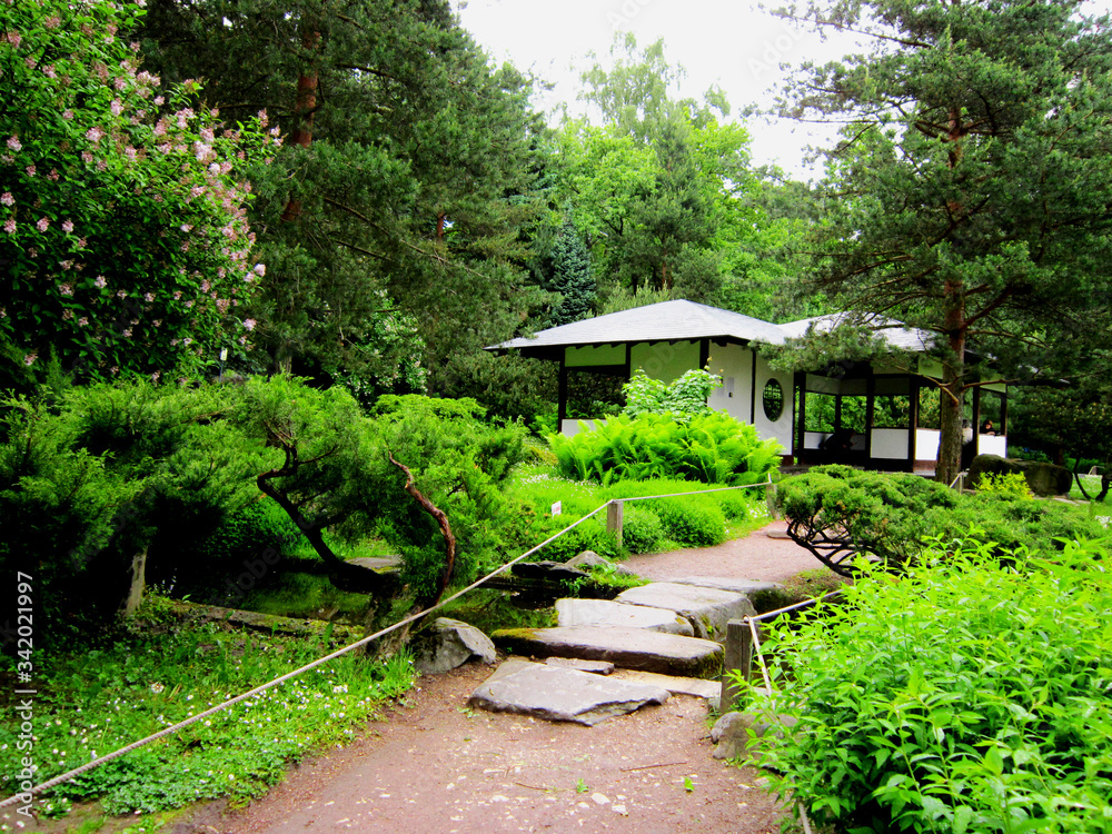 Naklejka premium Japan garden