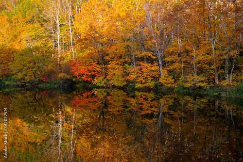 Calm autumn pond in deep mountain