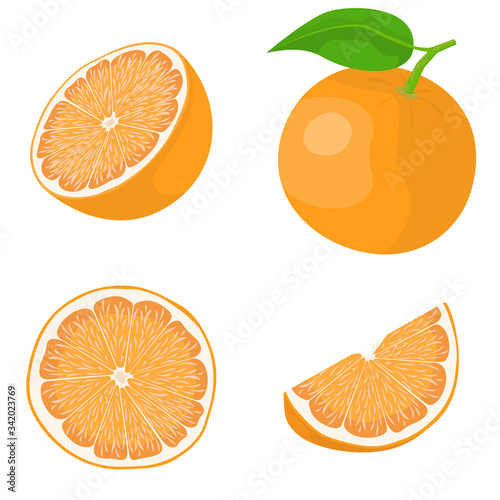 Whole and sliced orange. Vector set in cartoon style isolated on white background.