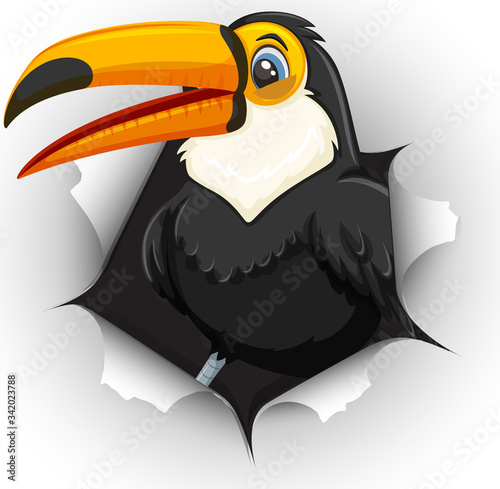 Cute toucan bird coming out of cracked wall