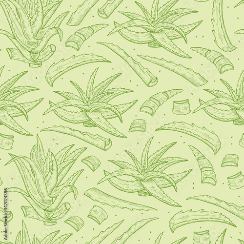 Hand drawn Aloe Vera plant leaves Seamless pattern. Medicinal plants Green background. Vector illustration 