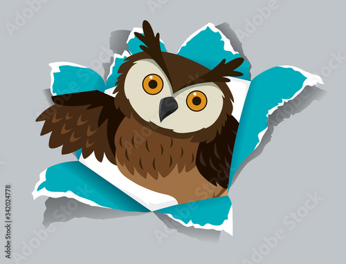 Background template design with wild owl on gray paper