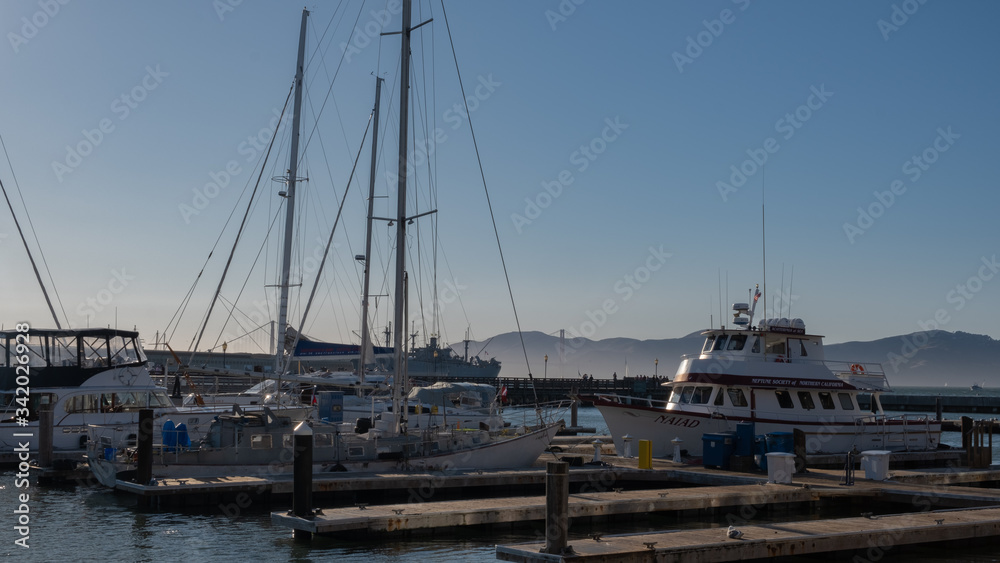 Fototapeta premium marina of sans francisco with boats