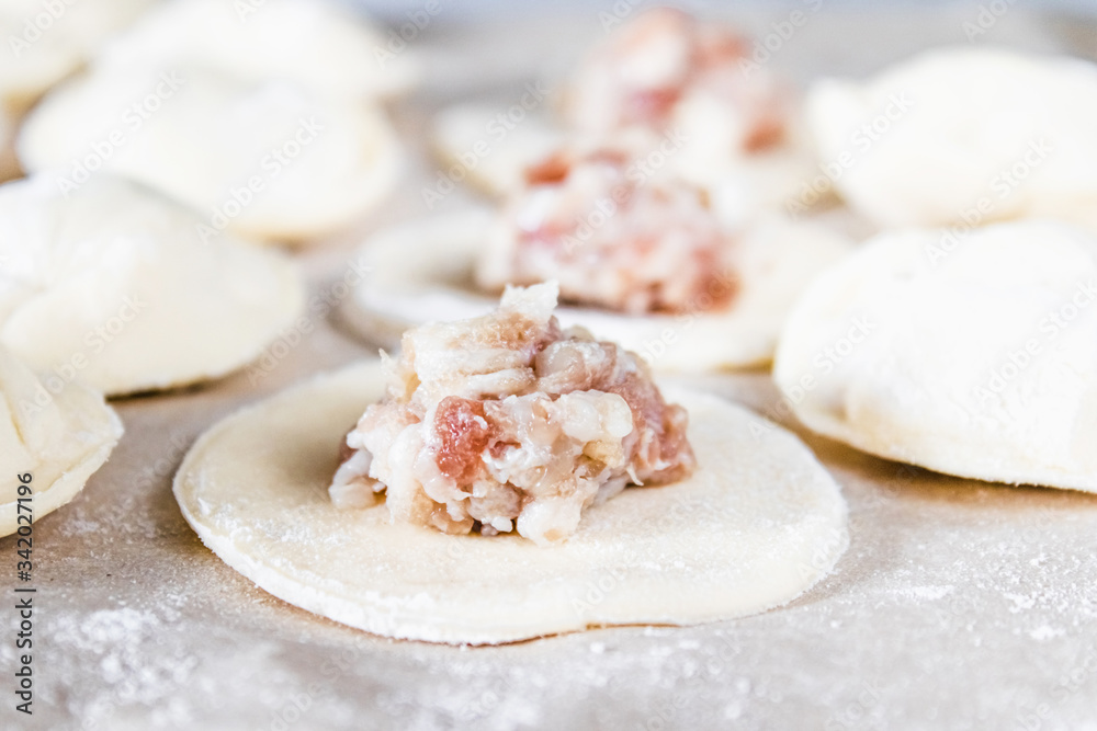 The process of making homemade dumplings. Minced meat on the dough, the process of making homemade dumplings. The process of making homemade dumplings. Minced meat on the dough, the process of making homemade dumplings.