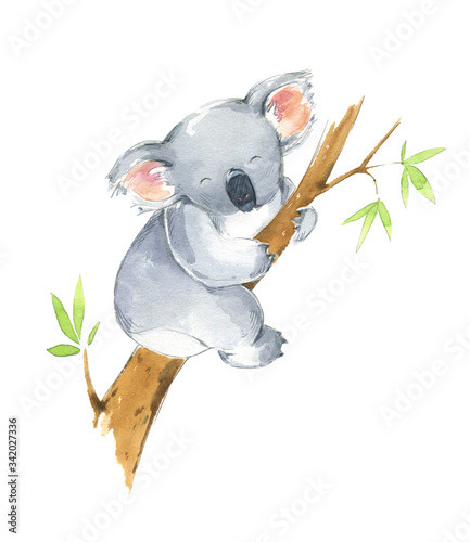 Cute koala sitting in a tree, watercolor illustration