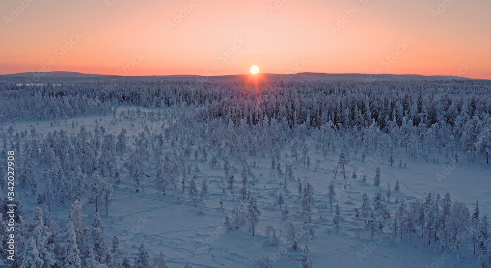Aerial photo of frozen trees in Lapland during the winter.
Aerial photo of frozen trees in Lapland during the winter.