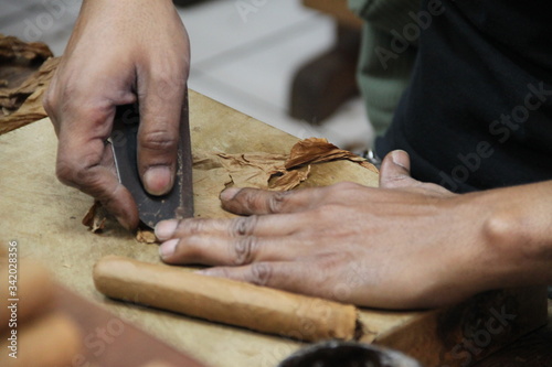 Cigars manufacturer roller dried toxic leaves 