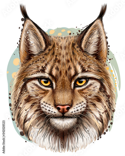 Lynx. Realistic, hand-drawn, color portrait of a lynx head on a white background in watercolor style.