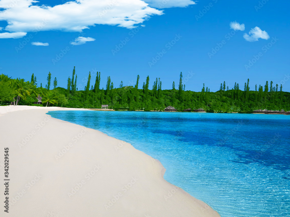 White beach surrounded by a palm and pine forest in the Golden Bay on the Isle of Pines in New Caledonia.                     