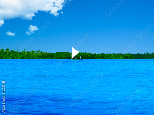 Typical kanak boat at the Upi Bay in New Caledonia.        photo