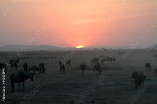 tramonto africano © monthss