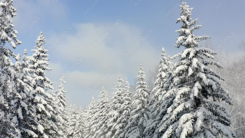 Breathtaking fly over frozen snowy fir and pine trees . Nature concept. Winter time, coziness, enjoying the landscape. No people around, wild nature Breathtaking fly over frozen snowy fir and pine trees . Nature concept. Winter time, coziness, enjoying the landscape. No people around, wild nature