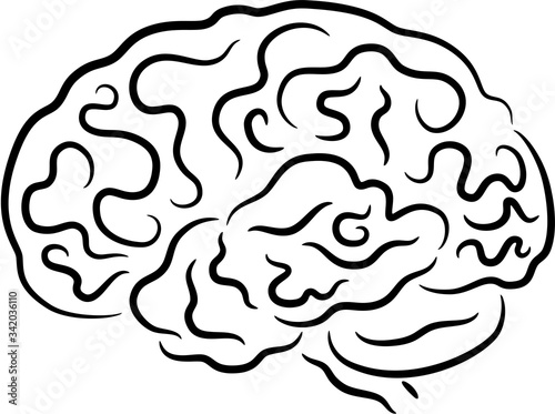 Human brain