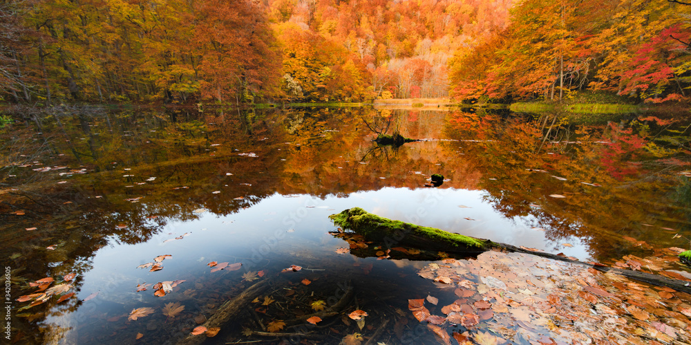 Calm autumn pond in deep mountain
