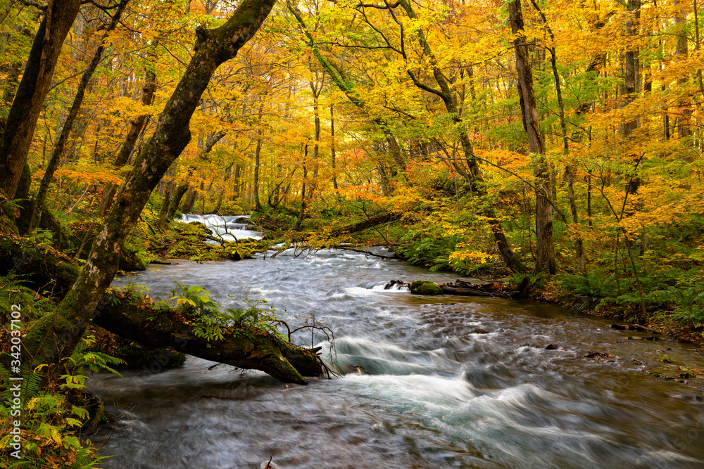 River and waterfall in autumn forest