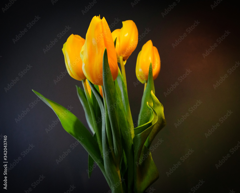 Naklejka premium Yellow tulips
