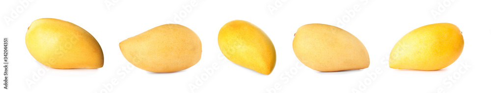 Set of delicious mangoes on white background. Banner design