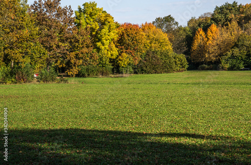 Wiese und Mischwald unter blauen Himmel