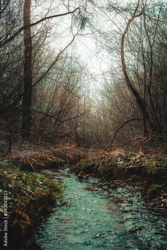 Obraz premium portrait