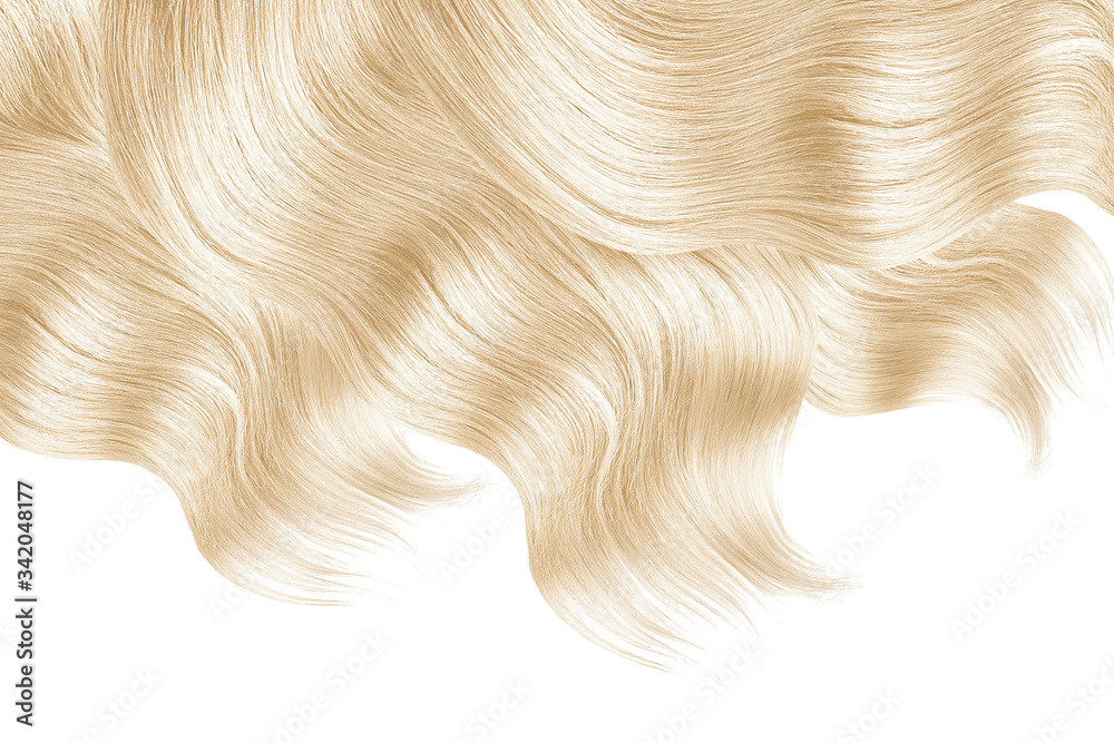 Blonde hair on white, isolated Blonde hair on white, isolated