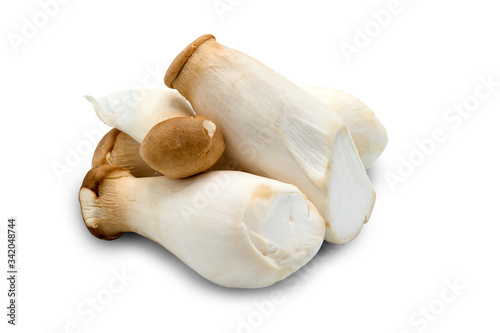 fresh mushroom on white isolated background