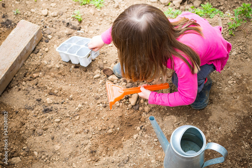 Little child girl digging the ground for placing plants in the garden. Lockdown activity idea during covid-19 pandemic. © silvia