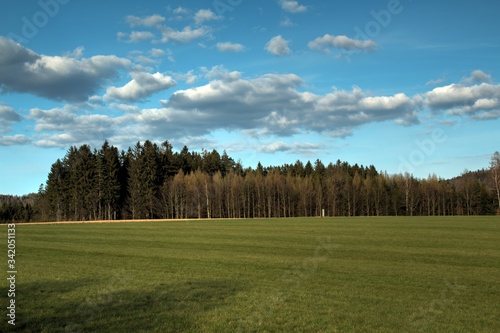 landscape with trees