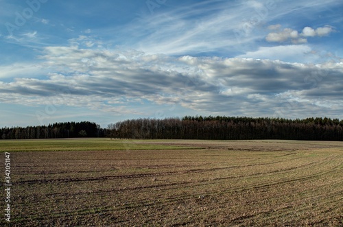 field and sky