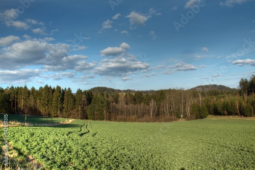 green field and blue sky