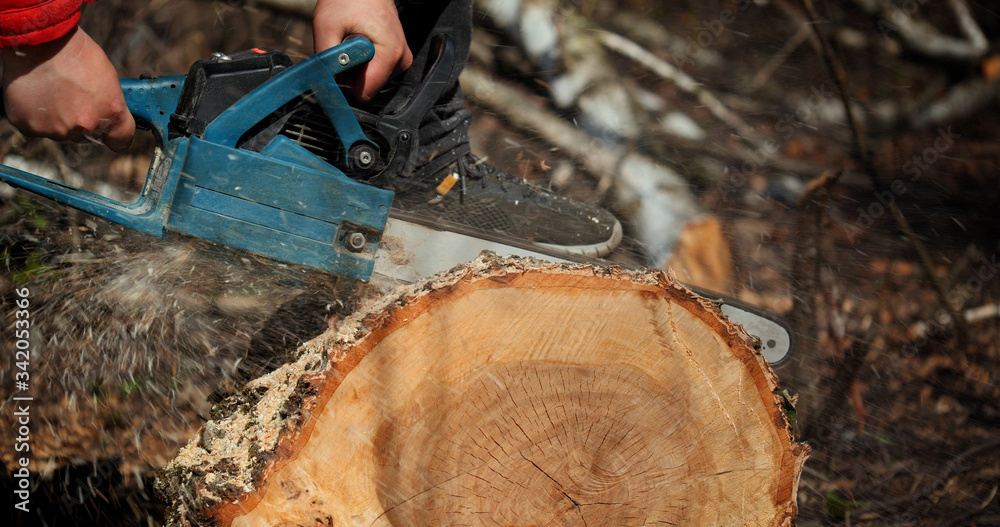 Wood cutting a chainsaw. Lumberjack cuts firewood with a saw Wood cutting a chainsaw. Lumberjack cuts firewood with a saw