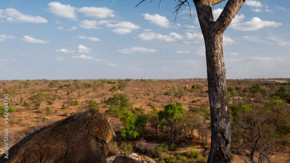 Late afternoon timelapse tilt up bushveld landscape with granitic rock boulders, Marula tree (Sclerocarya birrea), dry grass hill top, looking into valley/vista sun sets, clouds pass and shadows move.