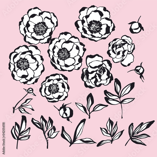 Hand drawn ink style flowers vector kit