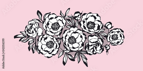 Classic elegant peony flowe...