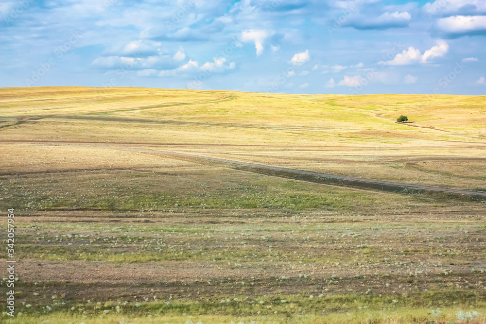 Summer or autumn yellow hills with dry grass. landscape and nature of Ukraine.