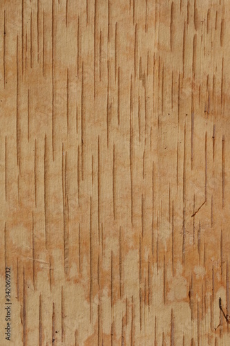 Internal brown striped structure of a birchen bark background, copy space photo