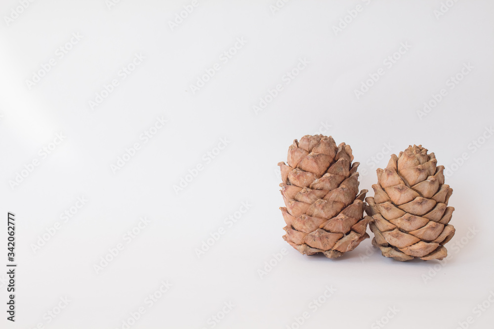 Christmas pinecone fir on white background. Top view. Mock up