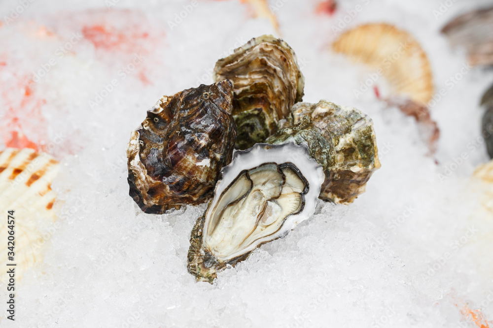 Far Eastern oysters on a crumb of ice. Showcase in a restaurant. Far Eastern oysters on a crumb of ice. Showcase in a restaurant.