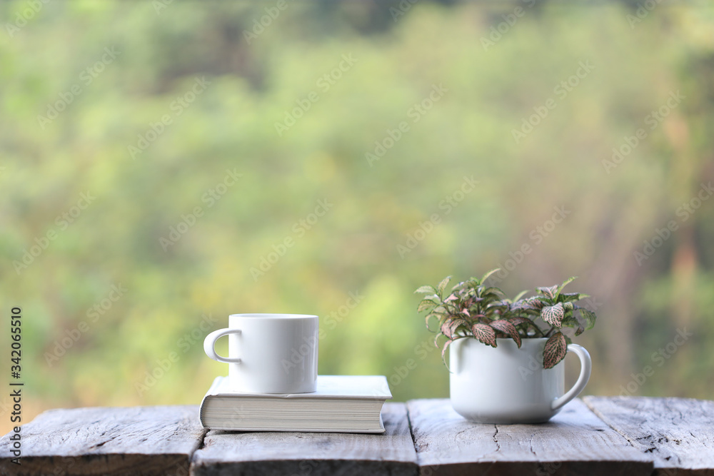 notebook and white coffee cup with red plant Nerve plant in small cup pot on wooden table at outside