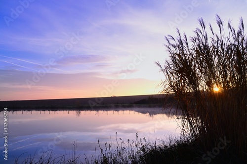 Sunrise on a lake with reeds and a blue-violet sky