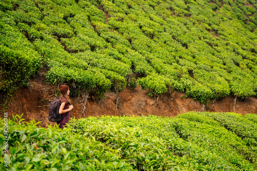 young girl enjoying a good morning in tea plantations in India Munnar Kerala